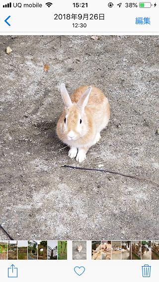 Iphoneのカメラロールの写真や画像を非表示にして隠す方法 くりふぁ